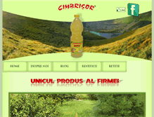 Tablet Screenshot of cimbrisor.ro